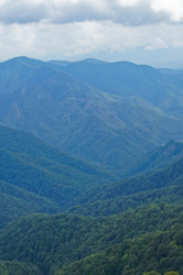 Similar image 1643947