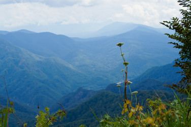 Similar image 1643948