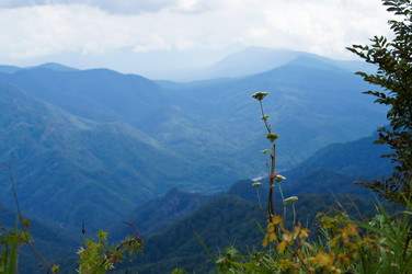 Similar image 1643950