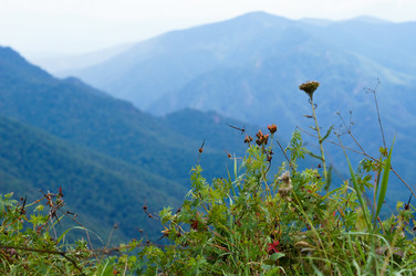 Similar image 1643951