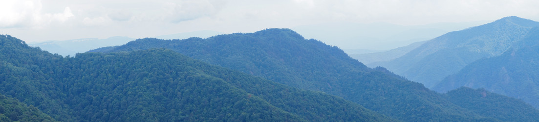 Similar image 1643954