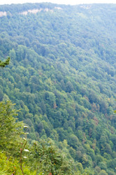 Similar image 1643957