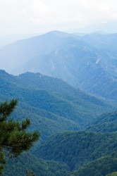 Similar image 1643965