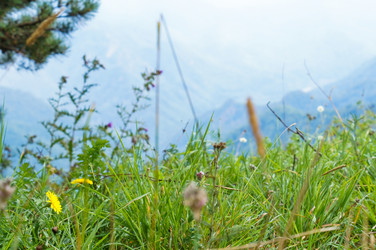 Similar image 1643973