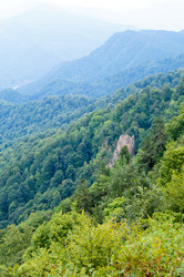 Similar image 1643974