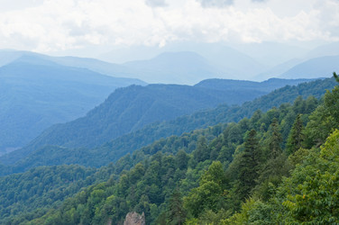 Similar image 1643979