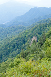 Similar image 1643982