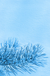 Similar image 1644223