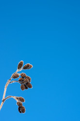 Similar image 1644224