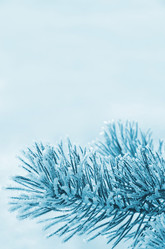 Similar image 1644225