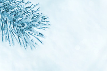 Similar image 1644228