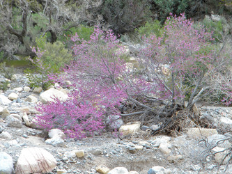 Similar image 1644274