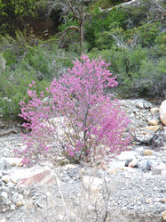 Similar image 1644275