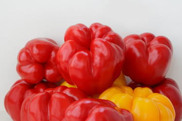 Similar image 1644359