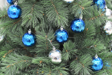 Similar image 1644367