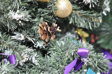 Similar image 1644369