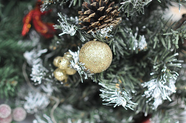 Similar image 1644372