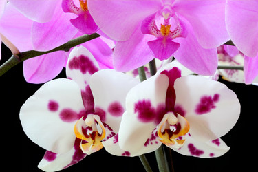 Similar image 1644381