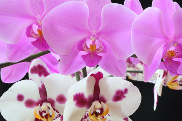 Similar image 1644384