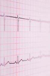 Similar image 1644399