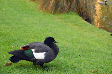 Similar image 1644478