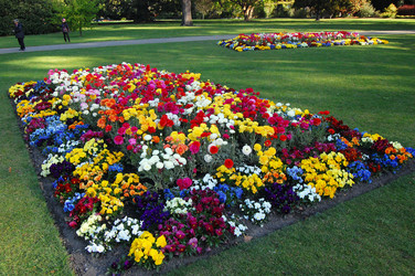 Similar image 1644481