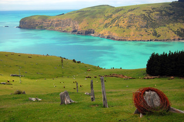 Similar image 1644531