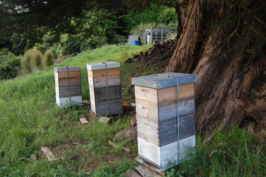 Similar image 1644534