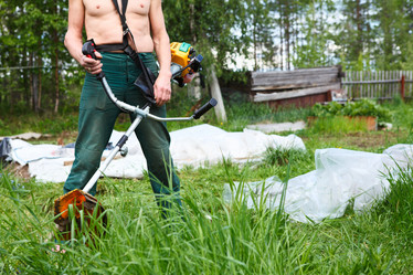 Similar image 1644562