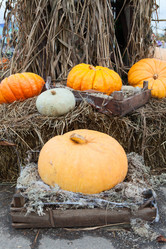 Similar image 1644600