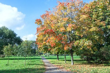 Similar image 1644601