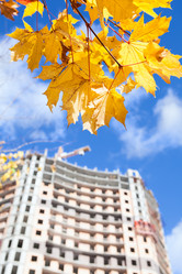 Similar image 1644605