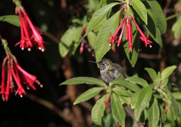 Similar image 1644638