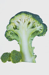 Similar image 1644656