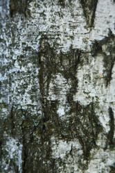 Similar image 1644660