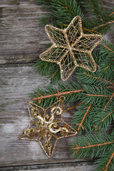 Similar image 1644662