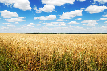 Similar image 1644801