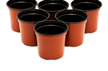 Similar image 1644816