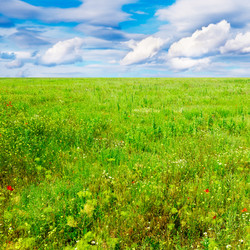 Similar image 1644823