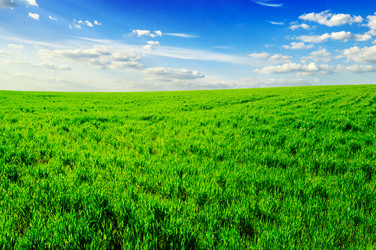 Similar image 1644824