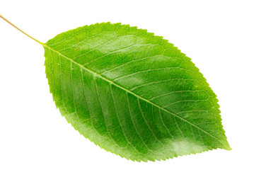 Similar image 1644834