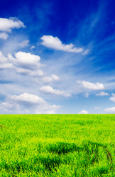 Similar image 1644843