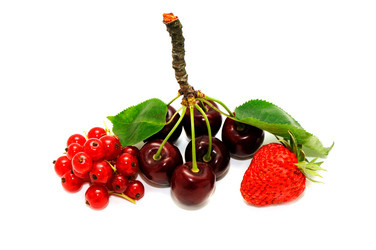 Similar image 1644850