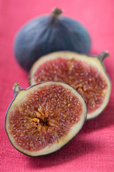 Similar image 1644993