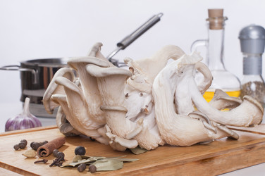 Similar image 1645106