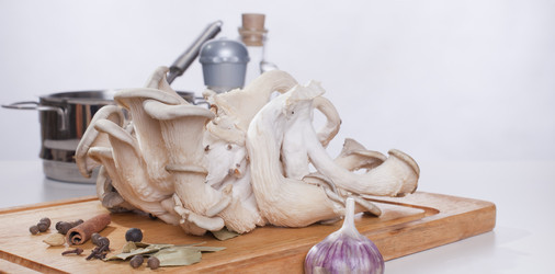 Similar image 1645107