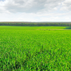 Similar image 1645117