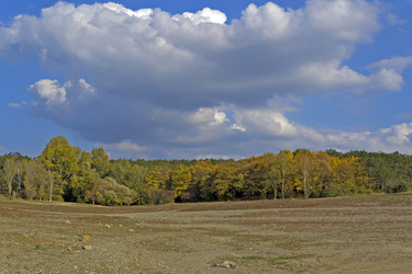 Similar image 1645156