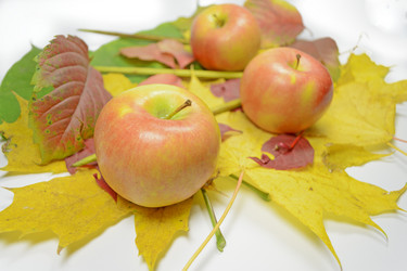 Similar image 1645157