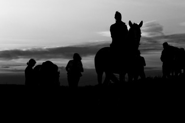 Similar image 1645158